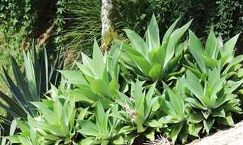 Imagem 5: Casa de condomínio para venda em Santo Antonio do Pinhal por R$ 1.800.000,00