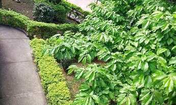 Imagem 8: Apartamento à venda, 80 m² por R$ 499.000,00 - Jardim Japão - São Paulo/SP