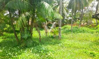 Imagem 5: Salinópolis - Casa Padrão - Bom Jesus