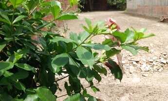 Imagem 7: Casa à venda, 153 m² por R$ 180.000 - Mosquito - Eusébio/CE