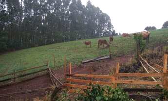 Imagem: Sítio de 2.6 hectares em Gramado com Vísta