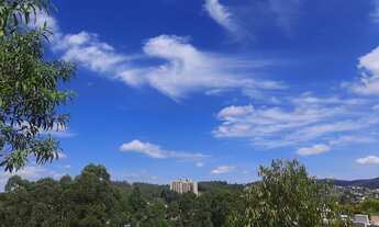 Imagem 6: Oportunidade raro lote a venda no Residencial das Árvores