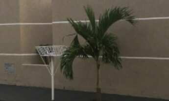 Imagem 2: Alugo casa Casa com 3 dormitórios