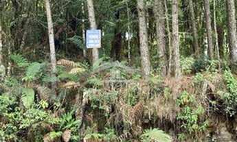 Imagem 4: CANELA - Terreno Padrão - Santa Terezinha