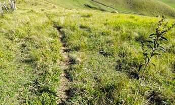 Imagem 5: Vendo Lote/Terreno com 1000 metros quadrados em Santa Isabel