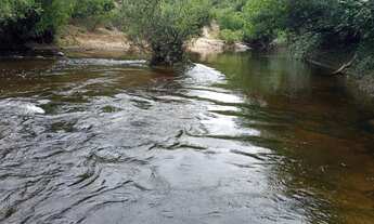 Imagem 5: Fazenda/Sítio/Chácara para venda tem 20000 metros quadrados com Rio no fundo