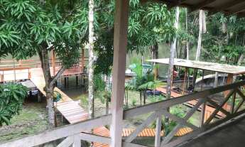 Imagem 3: Terreno Rural, medindo 1.295m², próprio para balneário, localizado na Comunidade do Ariri