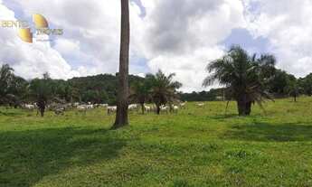 Imagem 3: Fazenda na região de Guiratinga à venda, 2341350 m² por R$ 4.500.000 - Centro - Guiratinga