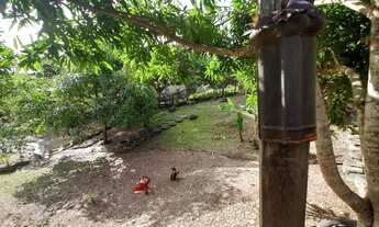 Imagem 7: Linda chácara para lazer ou moradia