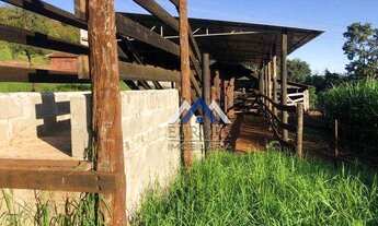 Imagem 4: Sítio à venda, 12,4 Alqueires por R$ 2.480.000 - Irerê - Londrina/PR