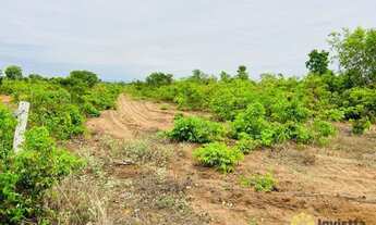Imagem 2: Fazenda à venda 3.900 Hectares em Colinas/TO