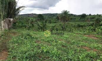 Imagem 6: Fazenda à venda, 580 Hectares em Miranorte do Tocantins