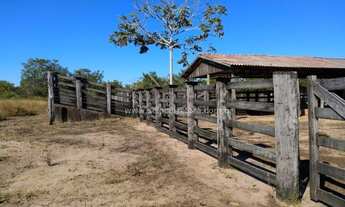 Imagem 5: OTIMA FAZENDA EM CAPOS DE JULIO