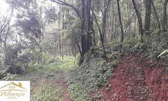 Imagem 2: Excelente área de terra em Nova Petrópolis, bairro Linha Olinda, RS Ref.:714