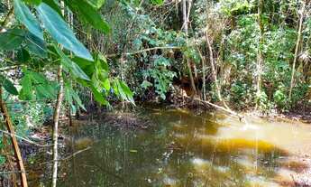 Imagem 7: Sítio a Venda em Domingos Martins