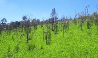 Imagem 2: Terreno a venda com 1000M² com lago para pesca
