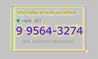 Imagem 5: Cocalzinho de Goiás - Fazenda - Girassol