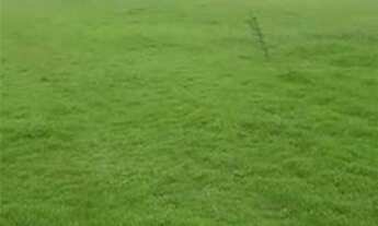 Imagem 4: Terreno para Venda em Rondonópolis, Vila Paulista