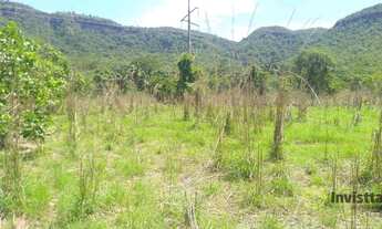 Imagem 5: Fazenda à venda, 435 Hectares em Palmas/TO