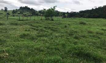 Imagem 6: Sítio 80 Alqueires Ji - Paraná