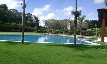 Imagem 4: Condomínio em Aldeia, Terra Viva de Aldeia, Um espetáculo