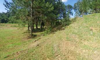 Imagem 4: Lote/Terreno para venda tem 1000 metros quadrados em Residencial Parque Cumbica - Guarulho