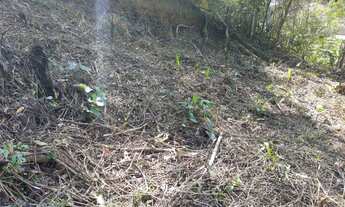 Imagem 3: Terreno à venda, 495 m² por R$ 130.000,00 - Parque Dom João VI - Nova Friburgo/RJ