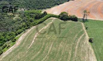 Imagem 3: Sítio à venda, 20000 m² por R$ 700.000 - Palmeirinha - Holambra/SP