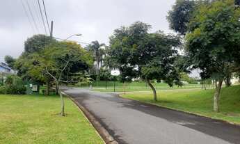 Imagem 3: Oportunidade raro lote a venda no Residencial das Árvores