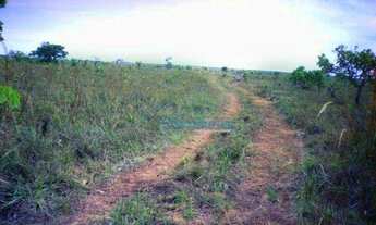 Imagem 4: Fazenda a venda - área rural