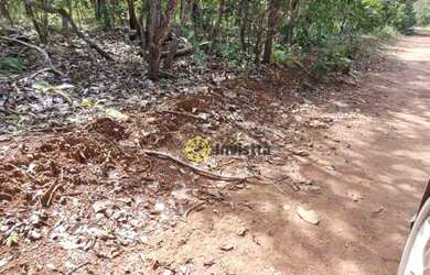 Imagem 3: Fazenda à venda, 575 Hectares em Paraíso do Tocantins