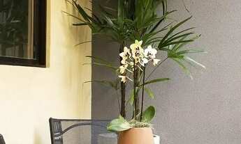 Imagem 2: Excelente apartamento no Centro do Rio