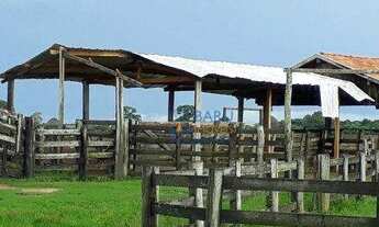 Imagem 3: Fazenda à venda, 88.000 Hectares por R$ 176.000.000 - Zona Rural - São José do Rio Claro/M