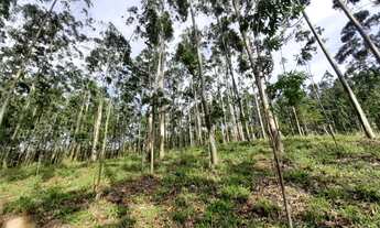 Imagem 6: Sítio para Venda em Imaruí, Centro