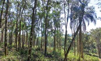 Imagem 2: Aproveita em quanto da tempo ,1.000m2 em Ibiuna S4RNVD