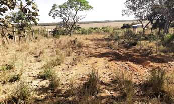 Imagem 5: LOTE CENTRO - ALBERTO ISAACSON