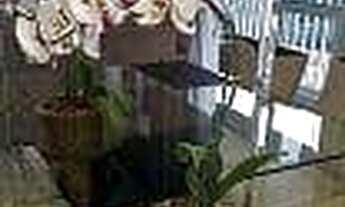 Imagem 5: Apartamento residencial para venda e locação, Jurubatuba, São Paulo