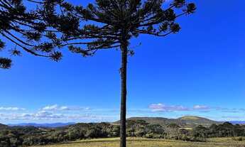 Imagem 4: OPORTUNIDADE NO CAMINHO DAS NEVES