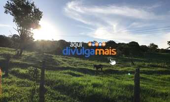 Imagem 12: Fazenda a venda de 68 alqueires para pecuária na região de Caldas Novas GO