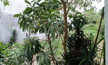 Imagem 3: Terreno, 590 m² - venda ou aluguel - Vila Alto de Santo André - Santo André/SP