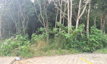 Imagem: Terreno para investir!