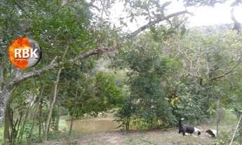 Imagem 4: Mas bah tchê!!! Excelente Sitio 1 hectares em Santo Antonio da Patrulha, RS