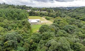 Imagem 3: Chácara em Curitiba