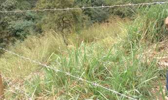 Imagem 4: Lote na Avenida principal de 222m2 no Bairro Montes Claros/Ribeiro de Abreu