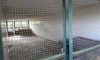 Imagem 3: Galpão/Depósito/Armazém para aluguel com 1119 m², em Pilares - Rio de Janeiro - RJ