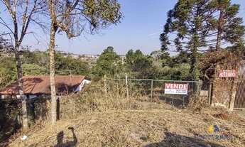 Imagem: Chácara com 1 dormitório à venda, 6020