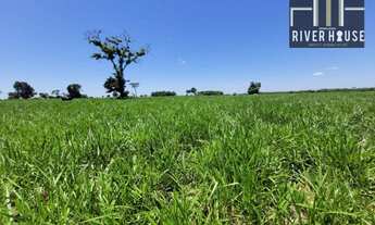 Imagem: Fazenda 534 hectares, 16 divisão de pasto