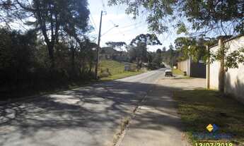 Imagem 6: Terreno à venda, 2000 m² por R$ 300.000,00 - São Gabriel - Colombo/PR