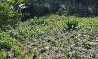 Imagem 6: Terreno à venda, 651 m² por R$ 160.000,00 - Lumiar - Nova Friburgo/RJ