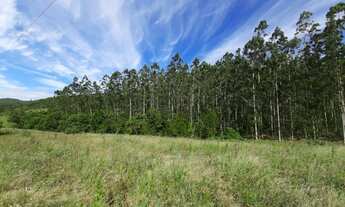 Imagem: Sítio para Venda em Imaruí, Centro